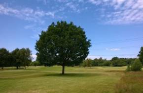 Blackwater Valley Golf Course