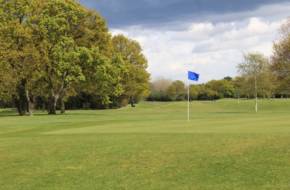 David Llyod Hampton Golf