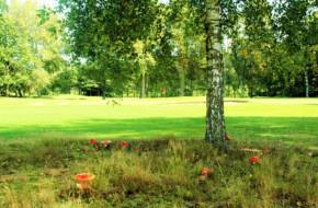 Leighton Buzzard Golf Course