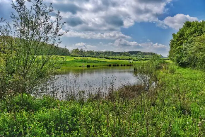 Norwood Park Golf Course