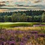 Sherwood Forest Golf Club