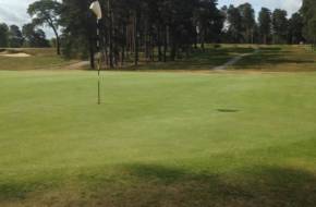 Swinley forest golf club