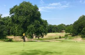 Thorndon Park golf club