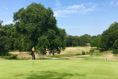 Thorndon Park golf club