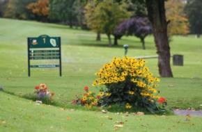 Beech Park Golf Club