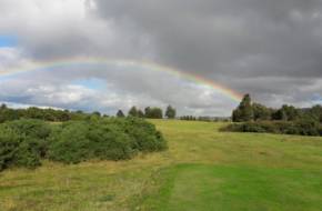 Heath Portlaoise Golf Club
