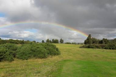 Heath Portlaoise Golf Club