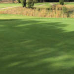 golfer putting on the green