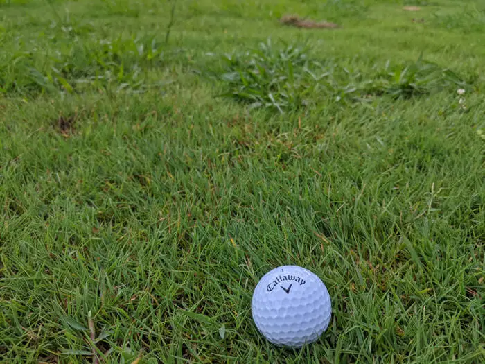 callaway supersoft golf balls in the rough