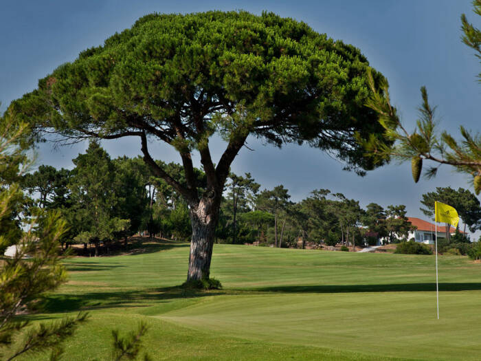 Estoril Golf Course near Lisbon