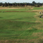 White stakes on a golf course marking the out of bounds