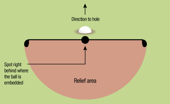 Diagram of where you can take relief from a plugged ball